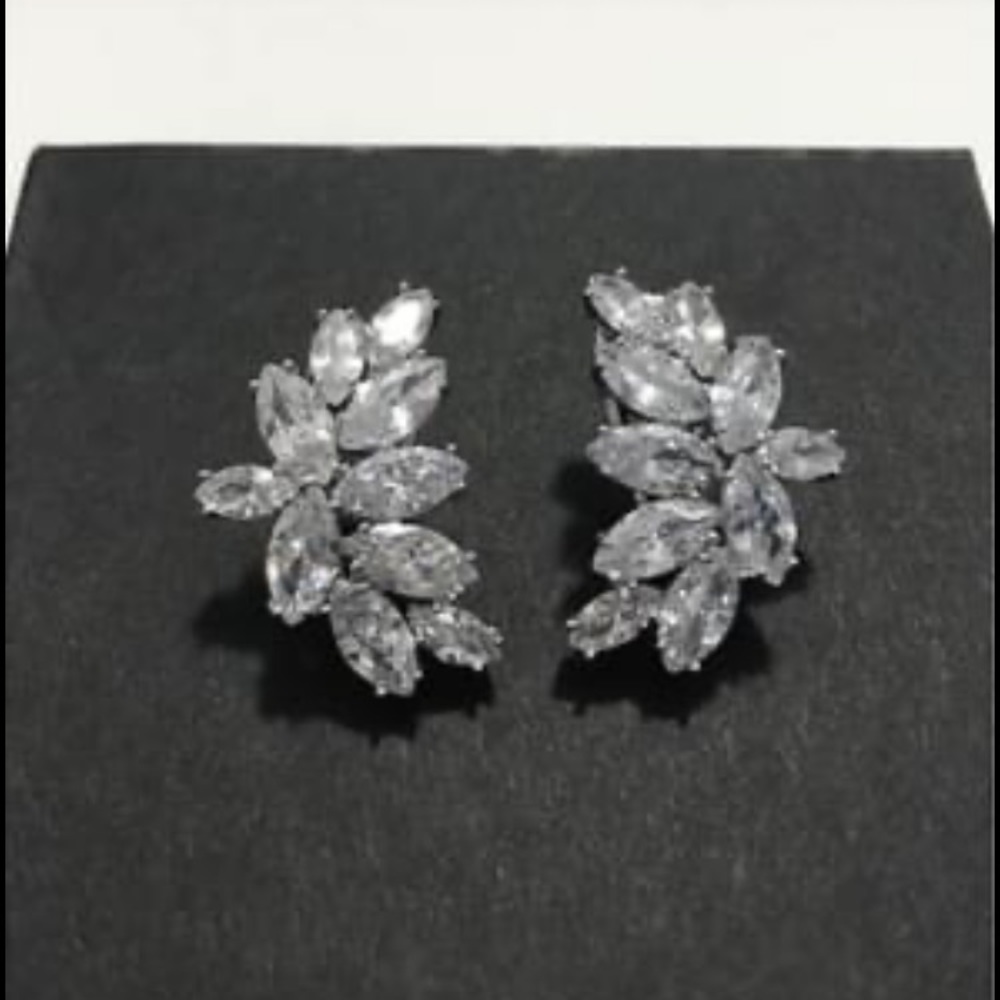 Earrings - NEW